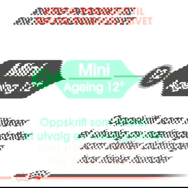 Royal Canin Mini Ageing 12+ tørrfôr til hund