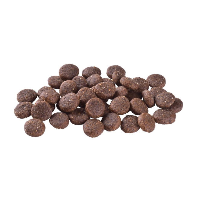 Brit Care Dog Sustainable Junior Large Breed Chicken & Insect (12 kg)