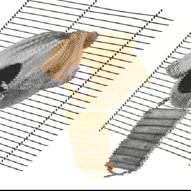 Quapas! Cozy hengende fugleleke med Krypinn Kokosn&oslash;tt