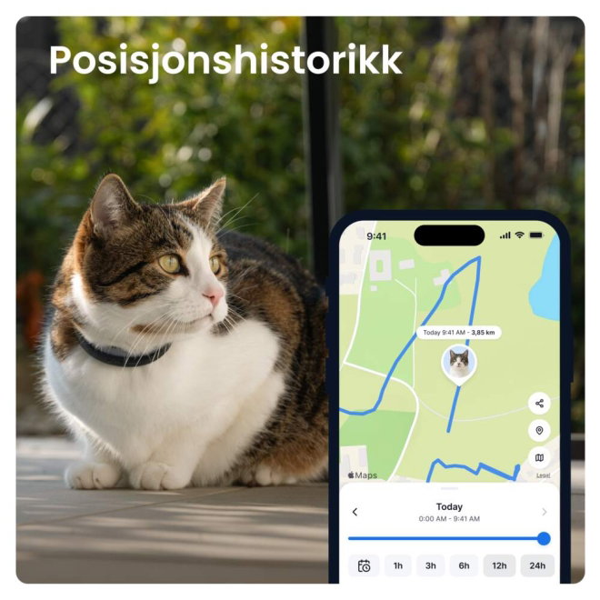 Tractive CAT 6 Mini &ndash; GPS Tracker & Health Monitor (Sort)