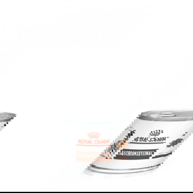 Royal Canin Veterinary Diet Dog Gastrointestinal Loaf 12x200 g