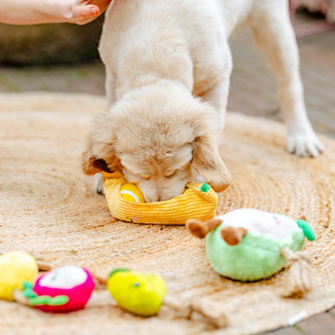 Little&Bigger Juicy Vibes plushy banana w/tennis balls inside