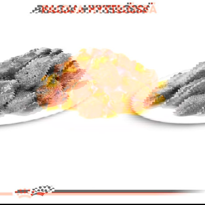 Royal Canin Sterilised Jelly Adult våtfôr til katt 12x85g