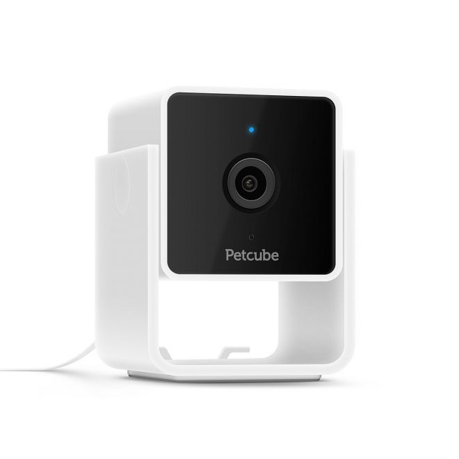 Petcube Cam Husdyrskamera med Lyd 1080p HD 2 way audio