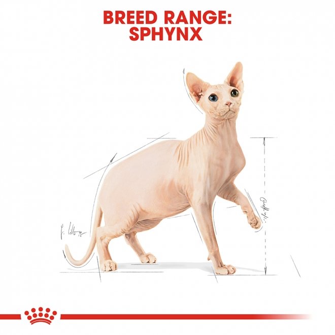 Royal Canin Breed Sphynx Adult tørrfôr til katt