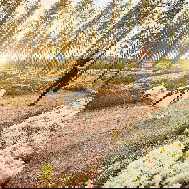 Non-stop Freemotion Trekksele