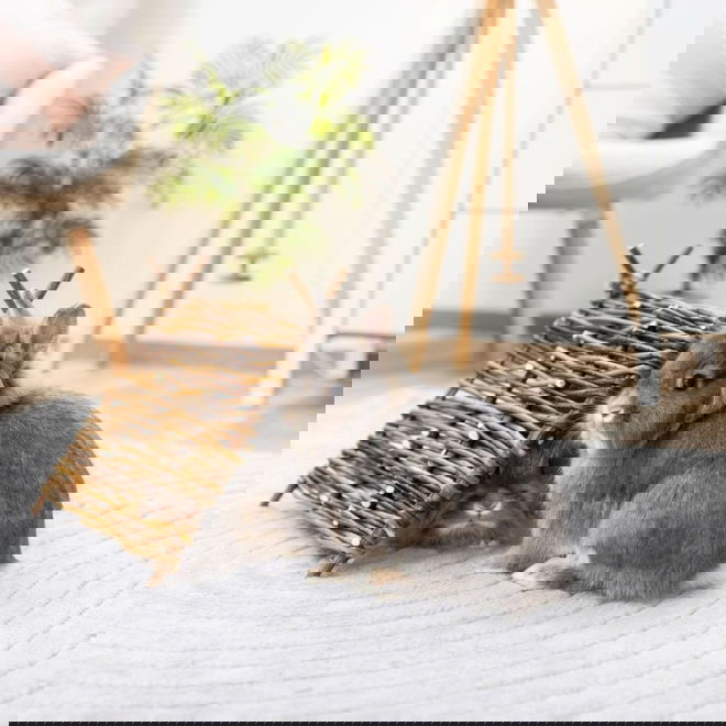 Kerbl Teepee Telt til sm&aring;dyr