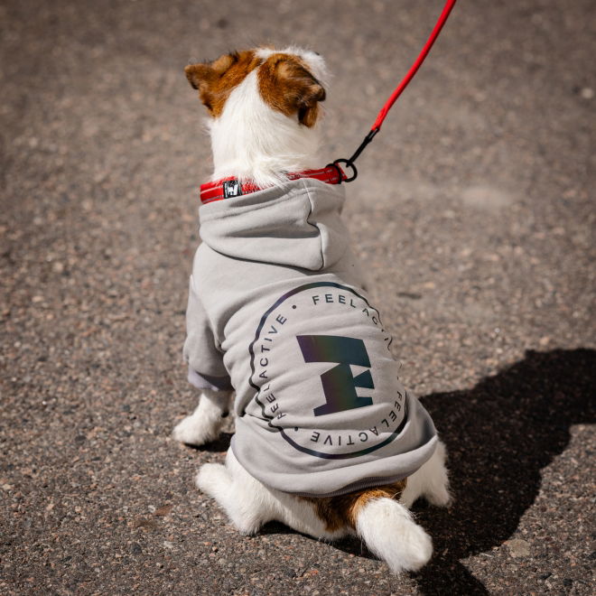 Feel Active Bromma hettegenser til hund grå