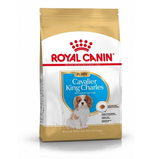 Royal Canin Cavalier King Charles Puppy tørrfôr til hundvalp