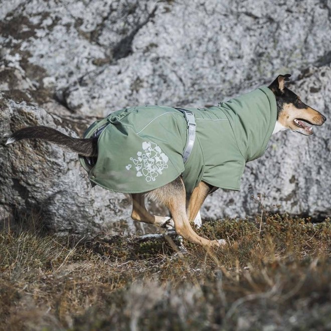 Hurtta Extreme Warmer ECO Hundedekken, Grønn