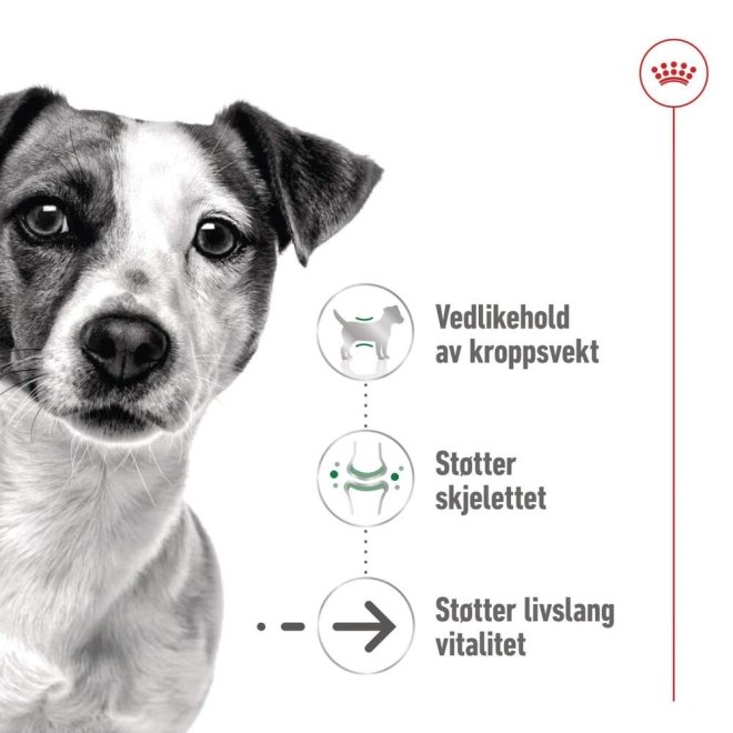 Royal Canin Mini Ageing Gravy våtfôr til hund 12x85 g