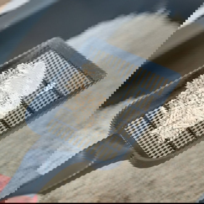 Trixie Tofu clumping Kattesand (2,5 kg)