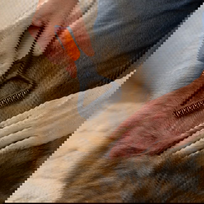 Fiskars Underullsrake