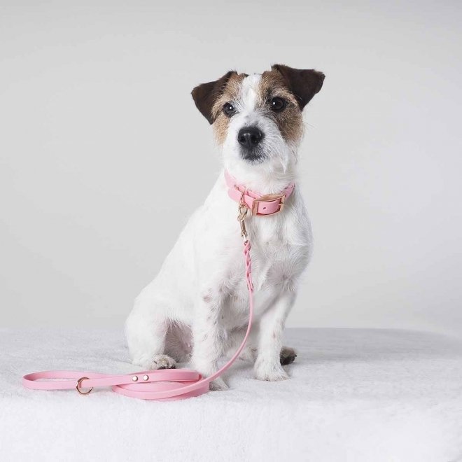 Tyylivoitto Classy Hundehalsbånd Liten Modell, Rosa