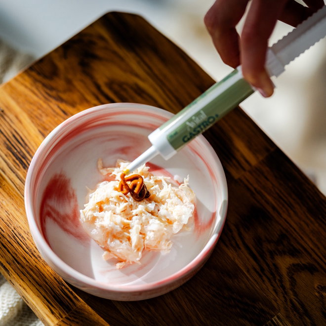 Avital Gastro+ for katter