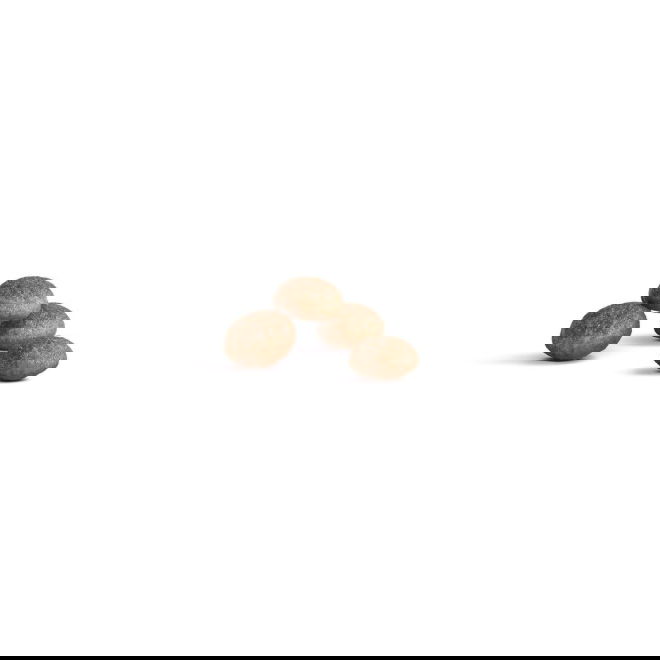 Royal Canin FHN Ageing Sterilised 11+