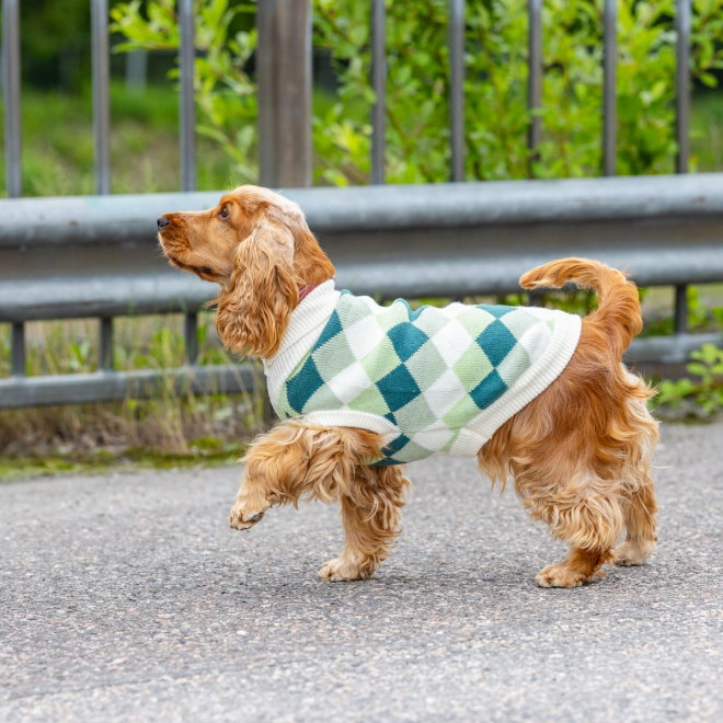 Little&Bigger Check Hundegenser Gr&oslash;nn