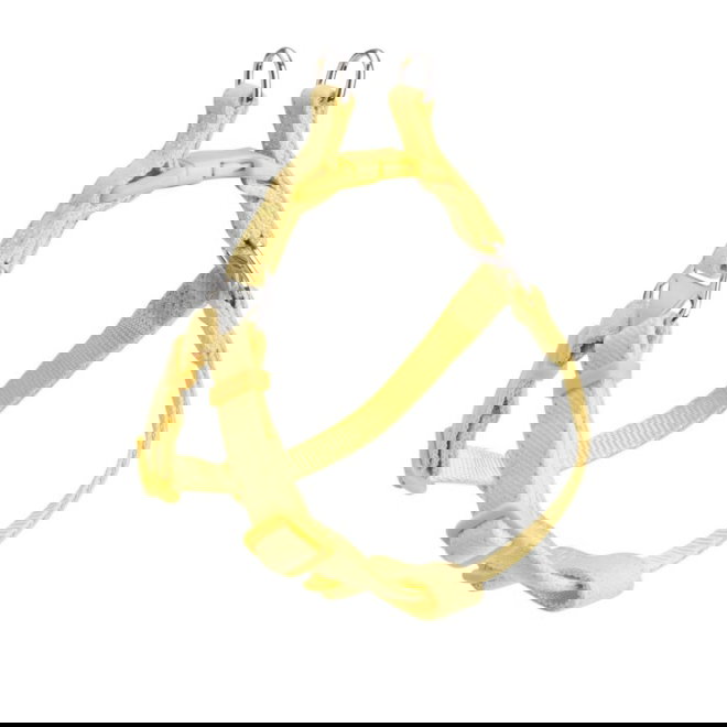 Little&Bigger PuppyBasics Taffi Step-in Valpesele Lime mist