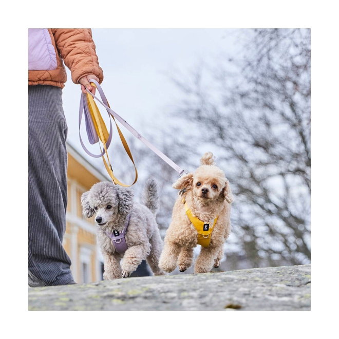 Hurtta Seeker Standard Leash 180*15 (Lilla)