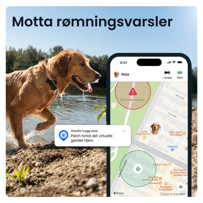 Tractive DOG 6 XL GPS Dog Collar & Health Monitor