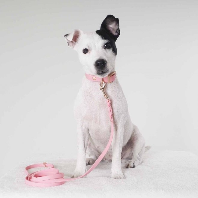 Tyylivoitto Classy Hundehalsbånd Liten Modell, Rosa