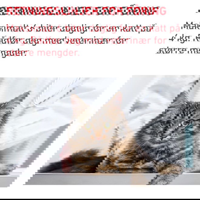 Royal Canin Veterinary Diets Cat Pill Assist Tablettgjemme for katt