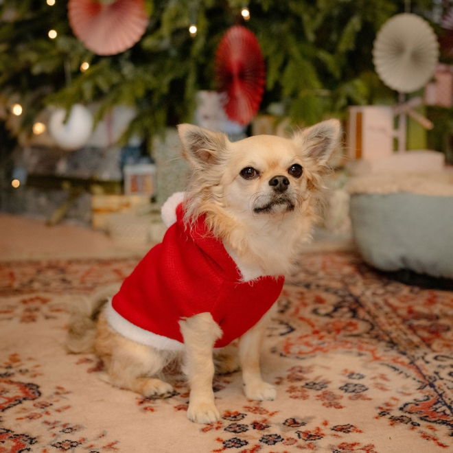 Little&Bigger Xmas Hundegenser med Nisselue