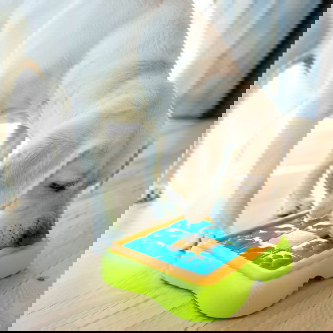 Nina Ottosson Challenge Slider S