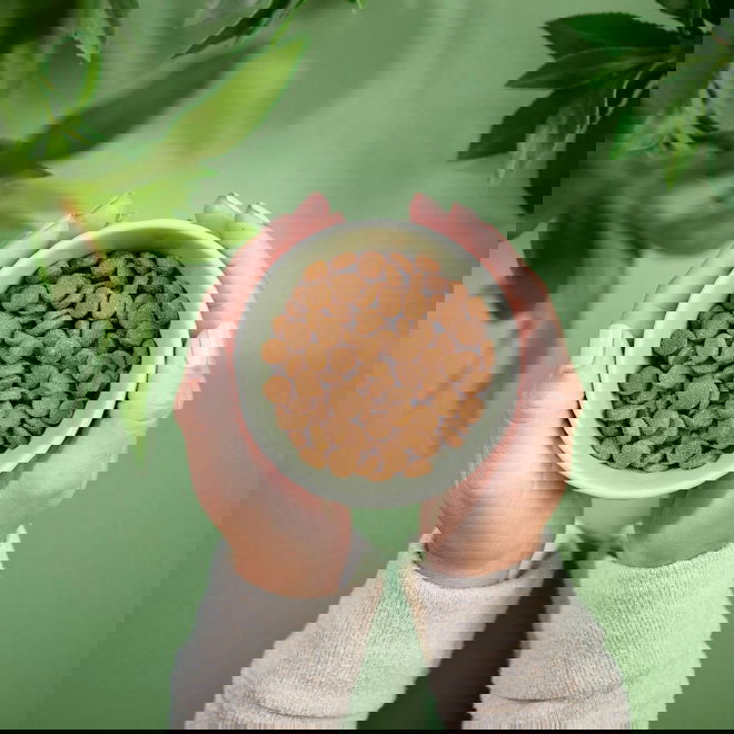 Purenatural Cat Adult Grain Free Turkey & Chicken (10 kg)