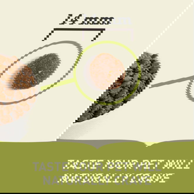 Acana Dog Free-Run Duck (11,4 kg)