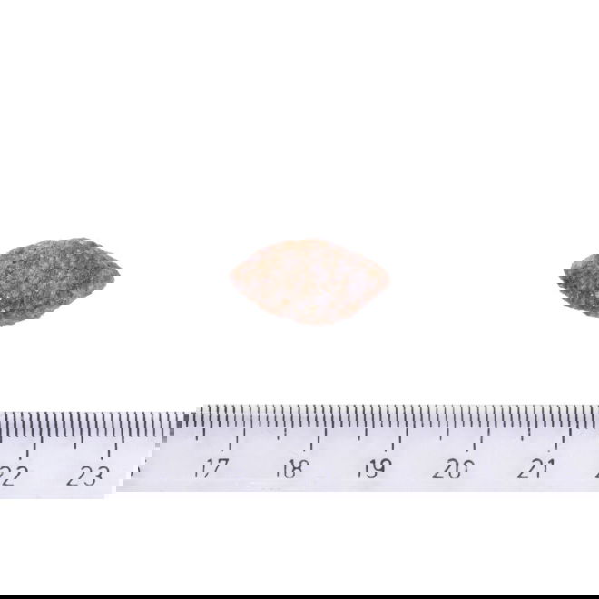 Brit Care Dog Grain-free Sensitive Venison (12 kg)