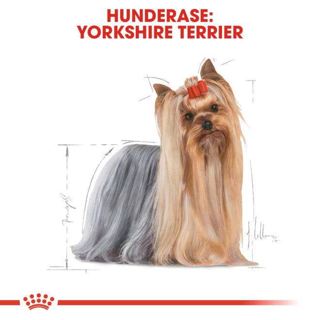 Royal Canin Breed Yorkshire Terrier Adult Loaf våtfôr til hund 12x85 g