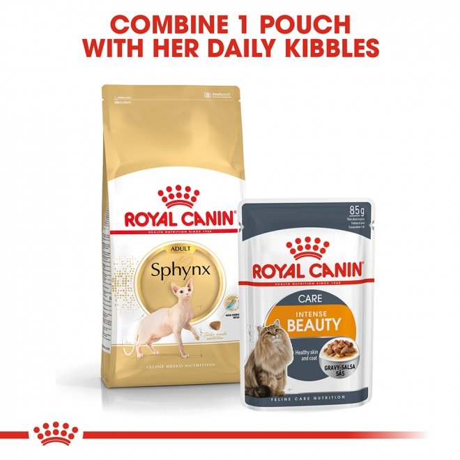 Royal Canin Breed Sphynx Adult tørrfôr til katt