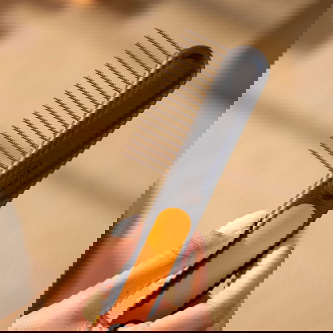 Fiskars Grovtannet kam