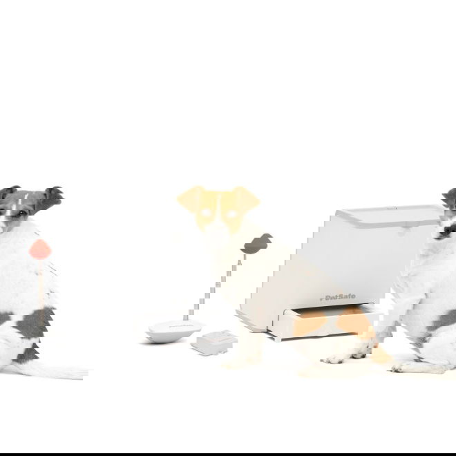 PetSafe Teach & Treat Godbitautomat med Fjernkontroll