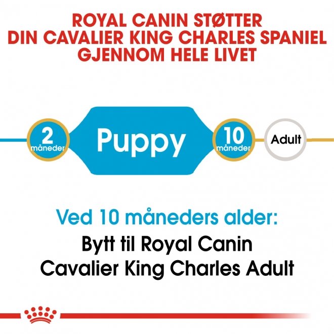 Royal Canin Cavalier King Charles Puppy tørrfôr til hundvalp