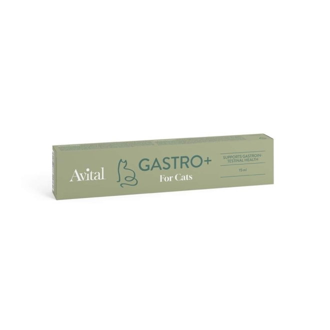 Avital Gastro+ for katter