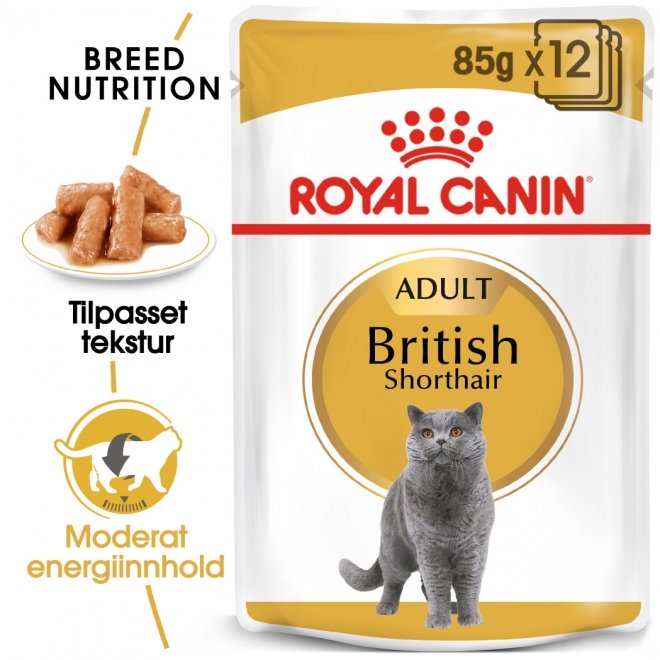 Royal Canin British Shorthair Adult Gravy våtfôr til katt