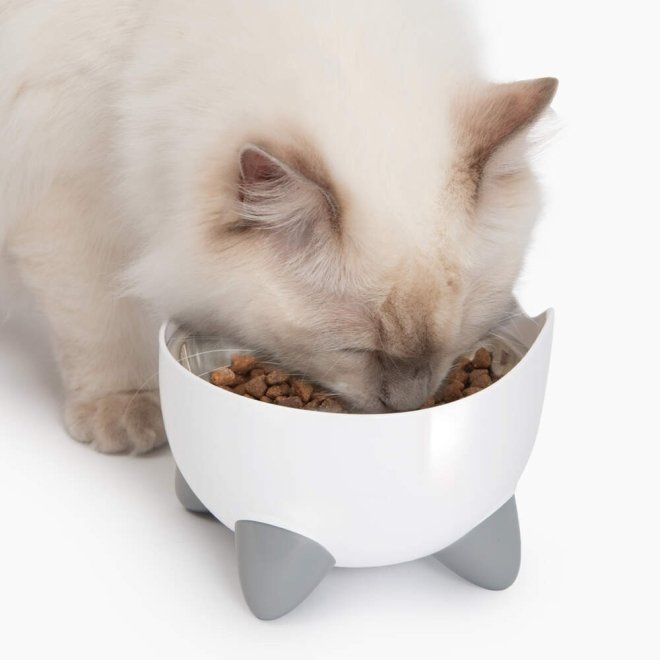 Catit Pixi Combo sett drikkefontene & hevet matskål hvit