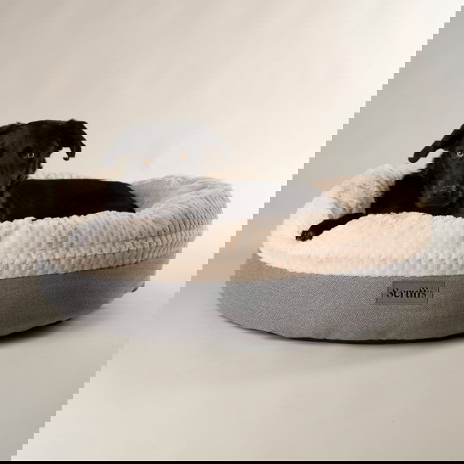 Scruffs Ellen Donut Hundeseng lys gr&aring;