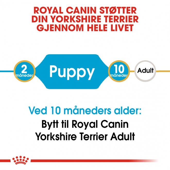 Royal Canin Breed Yorkshire Terrier Puppy tørrfôr til hundvalp