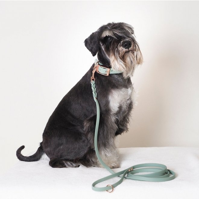 Tyylivoitto Classy Hundehalsbånd Liten Modell, Mint