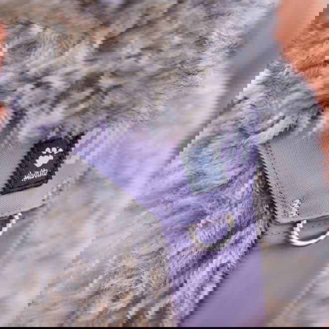 Hurtta Seeker harness lavender