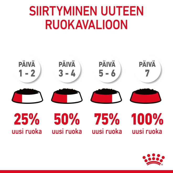 Royal Canin Hair & Skin Care Jelly Adult våtfôr til katt