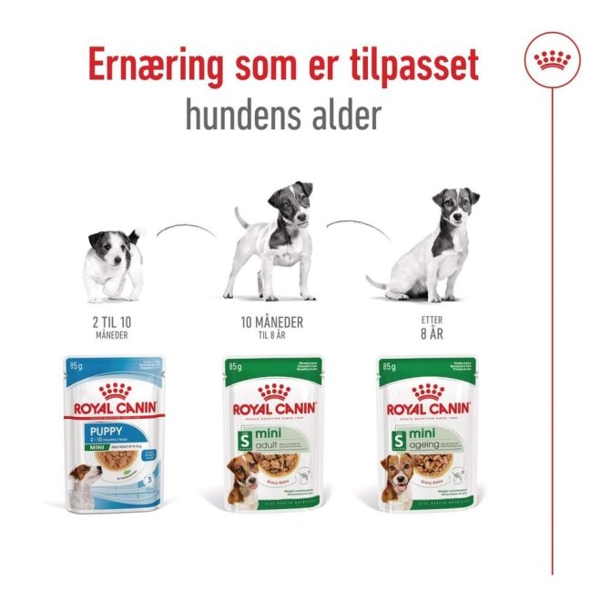 Royal Canin Mini Ageing Gravy våtfôr til hund 12x85 g