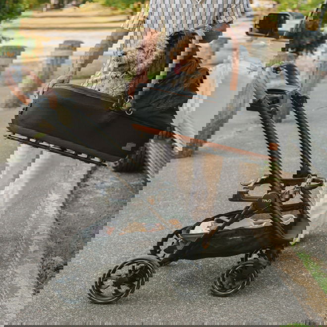 Tavo Roscoe Trek stroller frame