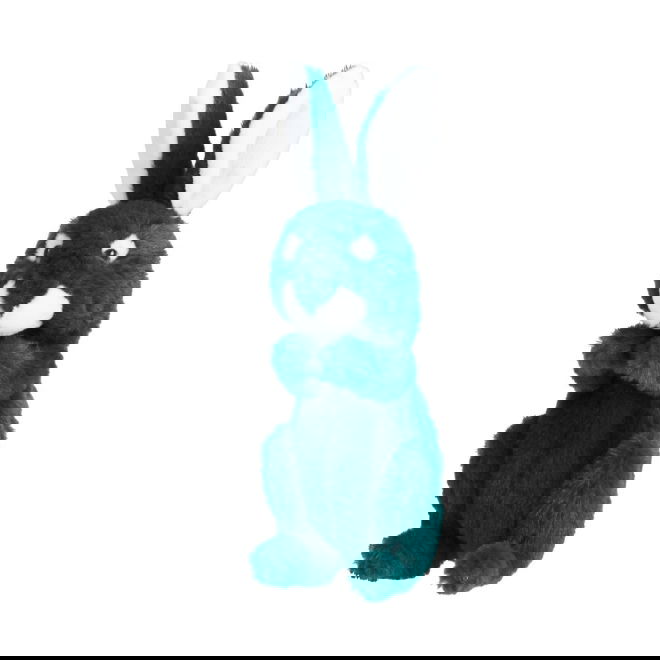 Little&Bigger All Stars kanin