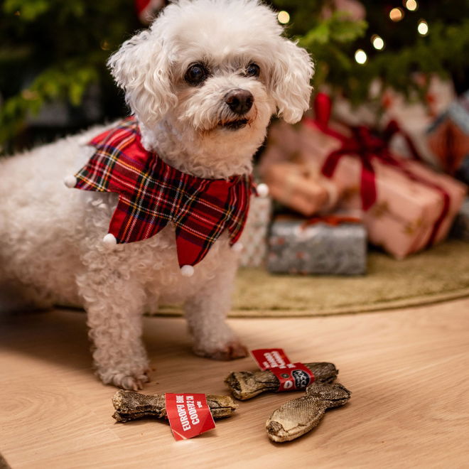 Little&Bigger Xmas Rutete Krage til Hund & Katt