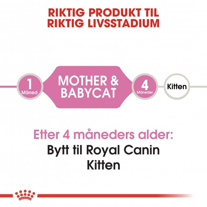 Royal Canin Mother & Babycat tørrfôr til katt og kattunge