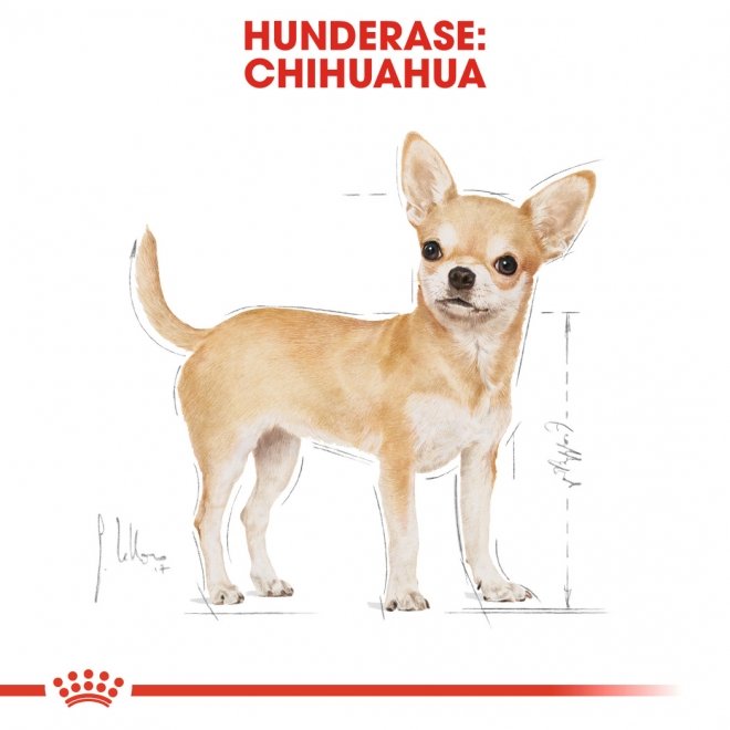 Royal Canin Chihuahua Adult tørrfôr til hund
